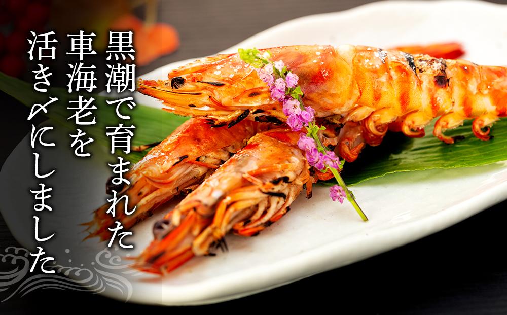 鮖ソ蜈仙ウカ逵檎肇 豢サ縺阪蜀キ蜃 霆頑オキ閠シ磯、頑ョ厄シ3L繧オ繧、繧コ 300gシ7ス9蟆セシ1繝代ャ繧ッ 繧サ繝繝