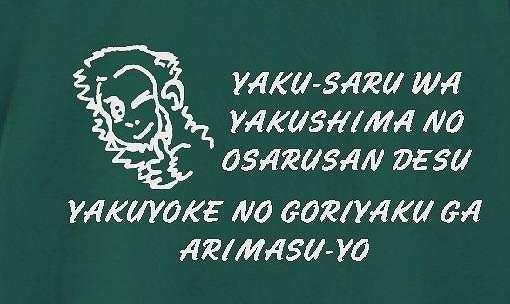やくさるTシャツDRY　Lサイズ 【緑】