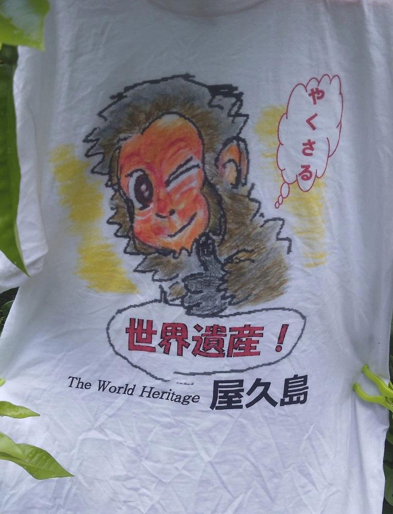 繧縺上&繧亀繧キ繝」繝 M繧オ繧、繧コ