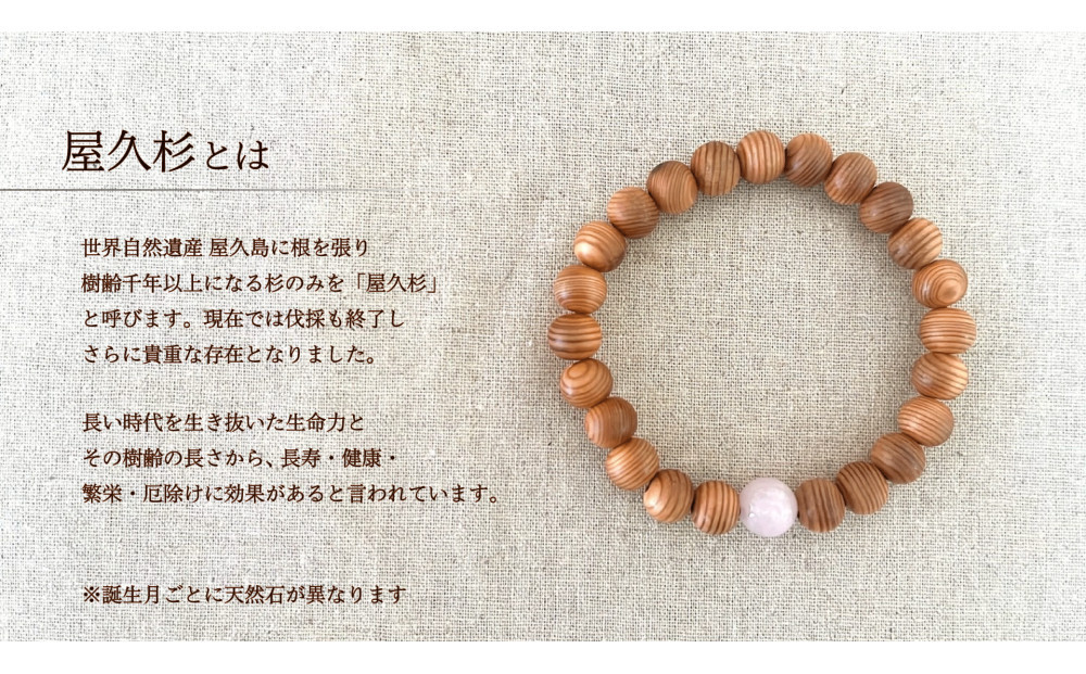 螻倶ケ譚嘉1譛郁ェ慕函遏ウ繝悶Ξ繧ケ繝ャ繝繝医20cm (L)縲