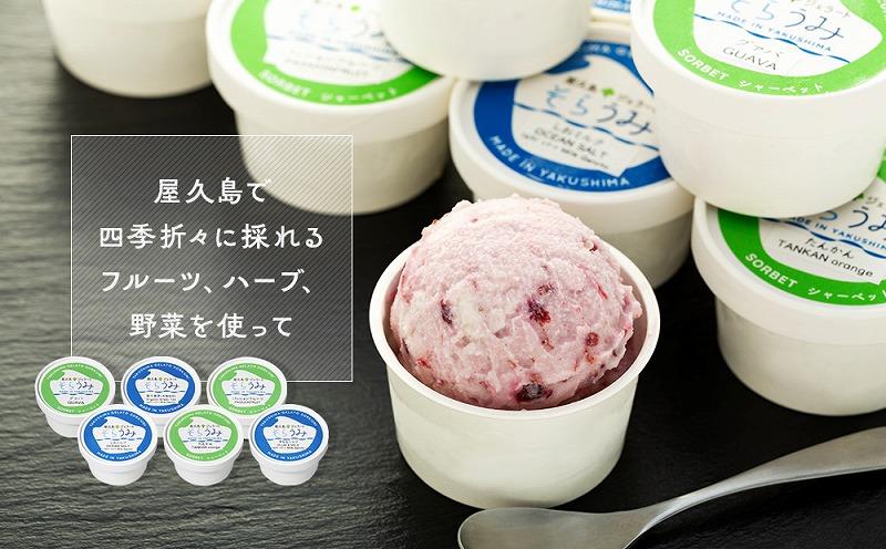 手作り ジェラート 12カップ 詰め合わせ セット＜屋久島産の新鮮食材を使用＞
