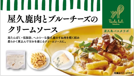 ＜屋久島パスタラボ＞森の恵  パスタ２個セット