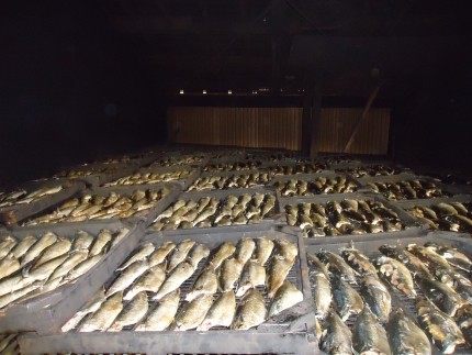 縺縺怜ーら畑縲辟。豺サ蜉繝サ螟ゥ辟カシ√し繝先悽譫ッ遽シ2陲具シ