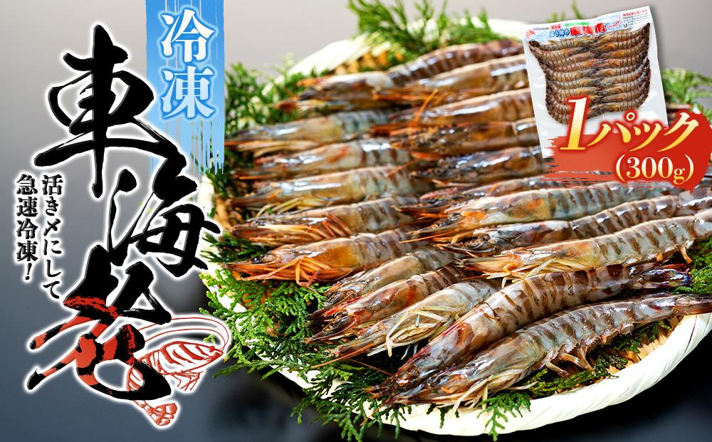 鹿児島県産 活き〆冷凍 車海老（養殖）Mサイズ300g（17～20尾）1パック セット
