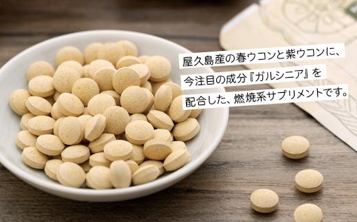 うっちーウコンsmile粒 300粒