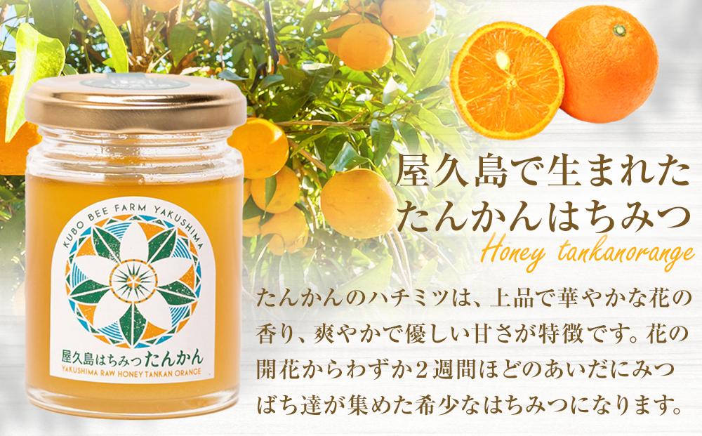 【非加熱・無添加】屋久島産 はちみつ（たんかん）120g×1個＜久保養蜂園 屋久島ファーム＞