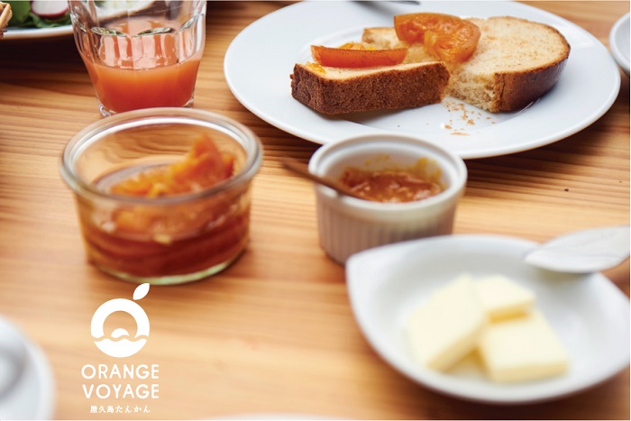 屋久島たんかんジャム４個セット