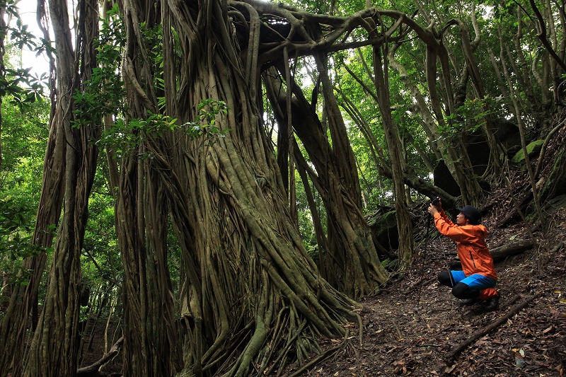 屋久島プライベート＆カスタマイズツアー