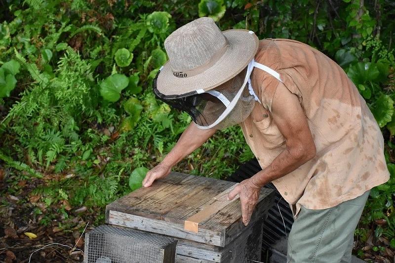 ã2026å¹Žæ¥æ¡ãå
è¡äºçŽãå±ä¹
å³¶ç£çŽç²ã¯ã¡ã¿ã€ 600g 2æ¬è©°ã èš1.2kg