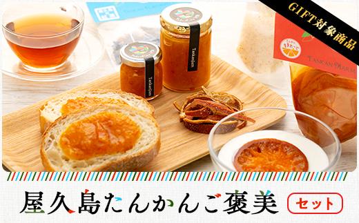 【ギフト用】屋久島たんかんご褒美セット