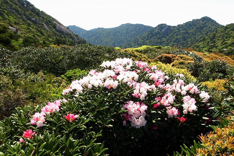 屋久島プライベート＆カスタマイズツアー