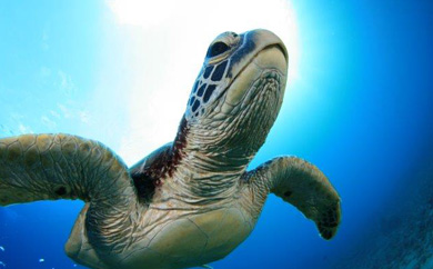 繝輔ぃ繝ウ繝繧、繝薙Φ繧ー(2繝薙シ繝√ム繧、繝厄シ