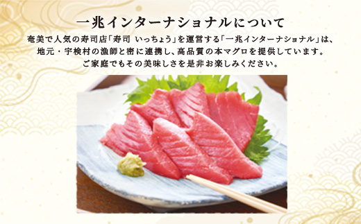 奄美大島 宇検村 本マグロ ( 大トロ 中トロ 赤身 中落ち ) 700g 簡単 お刺身 セット 今が旬 柵 冷凍 宇検村産 鮪 まぐろ 海鮮 刺し身 さしみ 生食用 鹿児島県 奄美大島 宇検村