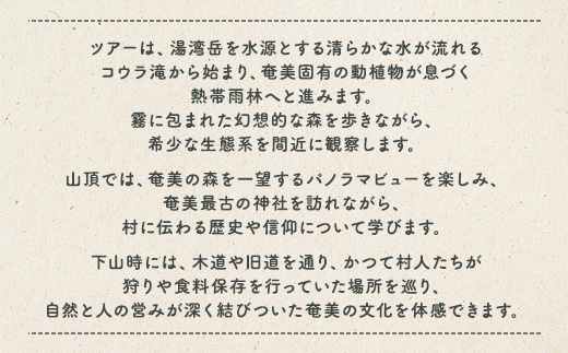 奄美最高峰「湯湾岳」ハイキング 体験 3名様 奄美大島 宇検村 鹿児島県 旅行 自然 冒険 完全プライベート
