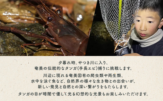 夕暮れタンガ捕り 体験 3名様 奄美大島 宇検村 鹿児島県 旅行 自然 冒険 完全プライベート