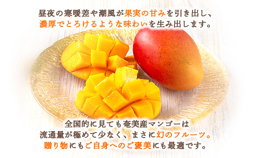 【2025年8月発送】今が旬！ 完熟 アップル マンゴー 2kg（4～6玉）モトキ農園 鹿児島県 奄美大島 宇検村 南国 マンゴー フルーツ 果物