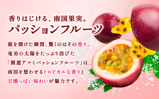 【2025年7月発送中】パッションフルーツ 1.5kg ( 家庭用 ) バラ詰め サイズ混合 【数量限定 期間限定】 鹿児島県産 国産 奄美大島 宇検村 果物 フルーツ リリコイ 果物時計草 デザート 旬 新物 奄美大島開運酒造