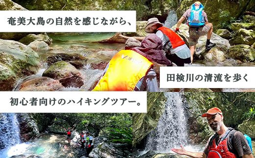 【4月～10月】田検の隠れ滝ハイキング 体験 5名様 奄美大島 宇検村 鹿児島県 旅行 自然 冒険 完全プライベート