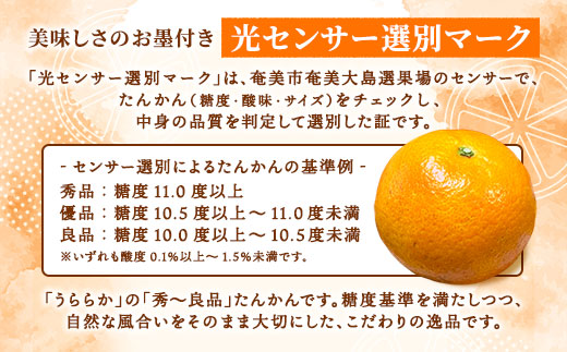 【予約・数量限定】2026年2月～出荷予定 【家庭用】奄美大島産たんかん5kg S~2Lサイズ混合 渡タンカン農園 もぎたて 旬をお届け