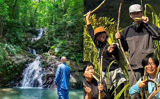 宇検村ジャングル＆村体験ツアー 5名様 奄美大島 宇検村 鹿児島県 旅行 自然 冒険 完全プライベート