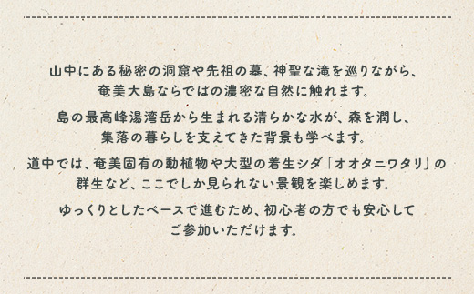 宇検ジャングル冒険 5名様 奄美大島 宇検村 鹿児島県 旅行 自然 冒険 完全プライベート