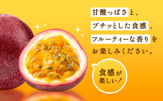【2025年7月発送中】パッションフルーツ 1.5kg ( 家庭用 ) バラ詰め サイズ混合 【数量限定 期間限定】 鹿児島県産 国産 奄美大島 宇検村 果物 フルーツ リリコイ 果物時計草 デザート 旬 新物 奄美大島開運酒造