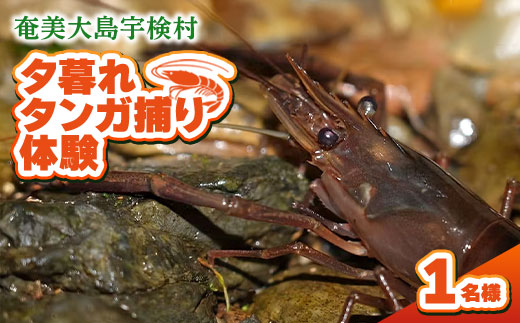 夕暮れタンガ捕り 体験 1名様 奄美大島 宇検村 鹿児島県 旅行 自然 冒険 完全プライベート