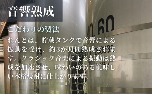 《黒糖焼酎》れんと 四合瓶 箱なし(720ml×48本) 25度 焼酎 お酒 奄美大島 宇検村 鹿児島