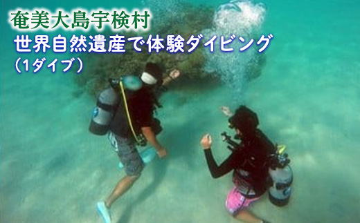 奄美大島宇検村の海で体験ダイビング(1ダイブ)