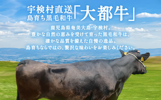 【鹿児島県産 黒毛和牛】 切り落とし 400g 【数量限定】大都牛 ブランド牛 冷凍 お手軽 牛 うし 牛肉 ビーフ 奄美大島 宇検村 経産牛