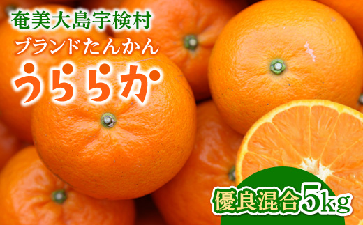 【先行予約※2025年発送分】宇検村産ブランドたんかん「うららか」 5kg満杯詰　糖度10％以上2025年2月～出荷開始