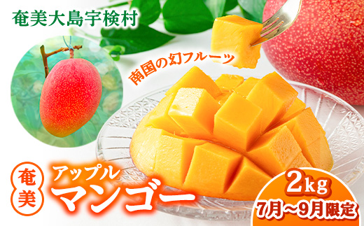 【2025年8月発送】今が旬！ 完熟 アップル マンゴー 2kg（4～6玉）モトキ農園 鹿児島県 奄美大島 宇検村 南国 マンゴー フルーツ 果物