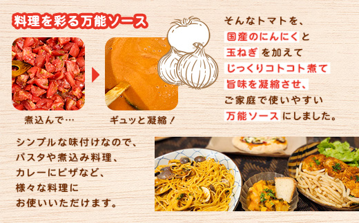 宇検の恵み トマトソース （300g×2パック） 冷凍 奄美 大島 宇検村 鹿児島県 素材 自宅用 ソース トマト とまと【まんま食堂】
