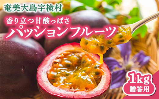 【先行予約】パッションフルーツ 贈答用 (12個入×1箱) 【7月～9月頃出荷開始】 リリコイ 果物 フルーツ デザート 人気 南国 デザート 奄美大島 宇検村 鹿児島