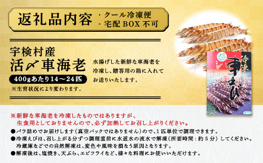 蜀キ蜃崎サ翫∴縺ウ500g 雍育ュ皮ョア蜈・繧 豢サ縲霆頑オキ閠 霆翫∴縺ウ 繧ィ繝 鬲壻サ 豬キ魄ョ 螂鄒主、ァ蟲カ 螳讀懈搗 鮖ソ蜈仙ウカ