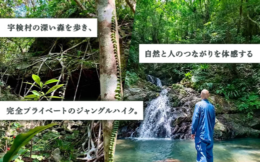 宇検ジャングル冒険 1・2名様 奄美大島 宇検村 鹿児島県 旅行 自然 冒険 完全プライベート