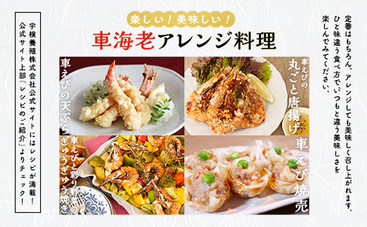 蜀キ蜃崎サ翫∴縺ウ500g 雍育ュ皮ョア蜈・繧 豢サ縲霆頑オキ閠 霆翫∴縺ウ 繧ィ繝 鬲壻サ 豬キ魄ョ 螂鄒主、ァ蟲カ 螳讀懈搗 鮖ソ蜈仙ウカ