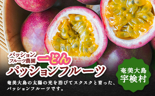 【先行予約】パッションフルーツ 贈答用 (12個入×1箱) 【7月～9月頃出荷開始】 リリコイ 果物 フルーツ デザート 人気 南国 デザート 奄美大島 宇検村 鹿児島 一どん