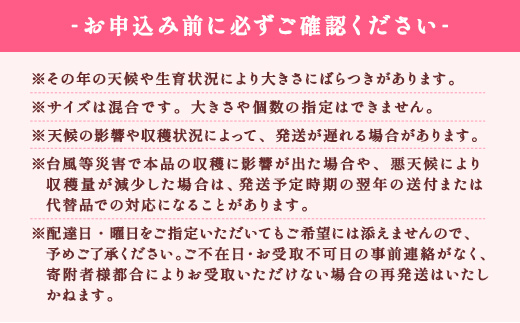 【2025年7月発送中】パッションフルーツ 1.5kg ( 家庭用 ) バラ詰め サイズ混合 【数量限定 期間限定】 鹿児島県産 国産 奄美大島 宇検村 果物 フルーツ リリコイ 果物時計草 デザート 旬 新物 奄美大島開運酒造