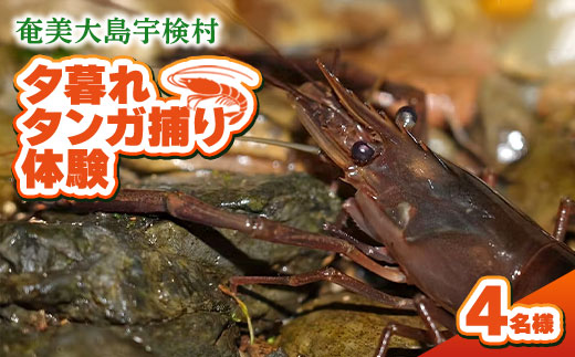 夕暮れタンガ捕り 体験 4名様 奄美大島 宇検村 鹿児島県 旅行 自然 冒険 完全プライベート