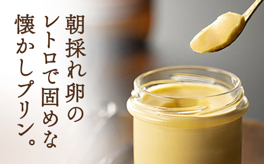 ãå³éžçŽ æã®çµ¶åããªã³ãå¥ãªããããªã³ ãŽãïŒé·åœèïŒã©ã ããã©ããŒã³ãº(3çš®é¡ å2å) ãã ãã ããªã³ äººæ° ã¹ã€ãŒã ãã¶ãŒã æŽèå å¥çŸå€§å³¶ 宿€æ 鹿å
å³¶ãããªã³å°éåºcheã