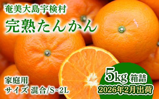 【予約・数量限定】2026年2月～出荷予定 【家庭用】奄美大島産たんかん5kg S~2Lサイズ混合 渡タンカン農園 もぎたて 旬をお届け