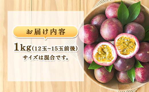 【先行予約】パッションフルーツ 贈答用 (12個入×1箱) 【7月～9月頃出荷開始】 リリコイ 果物 フルーツ デザート 人気 南国 デザート 奄美大島 宇検村 鹿児島 一どん