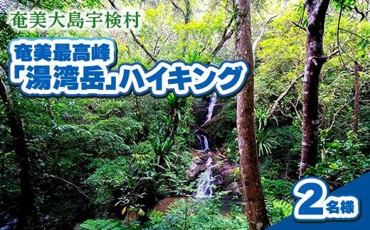 奄美最高峰「湯湾岳」ハイキング 体験 2名様 奄美大島 宇検村 鹿児島県 旅行 自然 冒険 完全プライベート