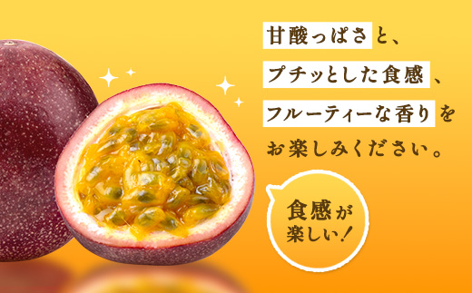 【先行予約】パッションフルーツ 贈答用 (12個入×1箱) 【7月～9月頃出荷開始】 リリコイ 果物 フルーツ デザート 人気 南国 デザート 奄美大島 宇検村 鹿児島 一どん