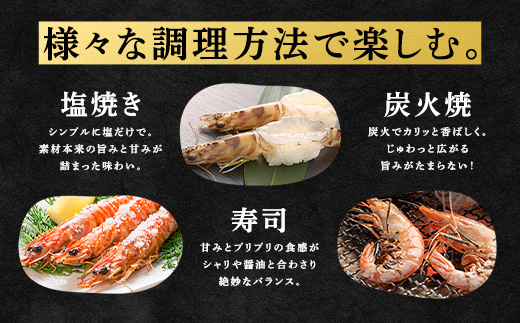 蜀キ蜃崎サ翫∴縺ウ500g 雍育ュ皮ョア蜈・繧 豢サ縲霆頑オキ閠 霆翫∴縺ウ 繧ィ繝 鬲壻サ 豬キ魄ョ 螂鄒主、ァ蟲カ 螳讀懈搗 鮖ソ蜈仙ウカ