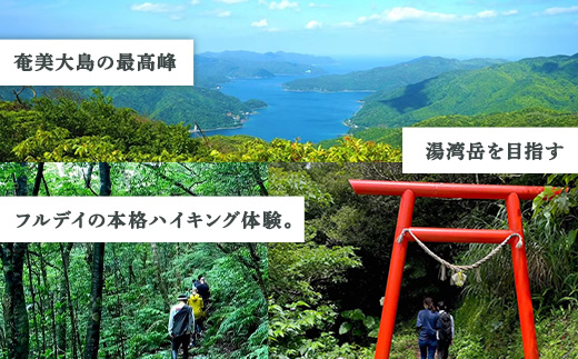 奄美最高峰「湯湾岳」ハイキング 体験 1名様 奄美大島 宇検村 鹿児島県 旅行 自然 冒険 完全プライベート