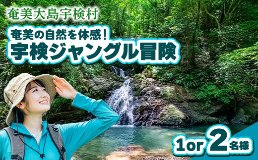 宇検ジャングル冒険 1・2名様 奄美大島 宇検村 鹿児島県 旅行 自然 冒険 完全プライベート