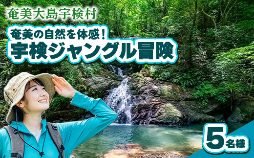 宇検ジャングル冒険 5名様 奄美大島 宇検村 鹿児島県 旅行 自然 冒険 完全プライベート
