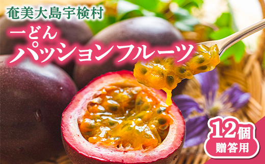 【先行予約】パッションフルーツ 贈答用 (12個入×1箱) 【7月～9月頃出荷開始】 リリコイ 果物 フルーツ デザート 人気 南国 デザート 奄美大島 宇検村 鹿児島 一どん